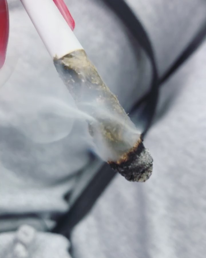 Okay, I’m coming out and saying it.... @kingpen #kingrolls are my FAVORITE infused joint out there right now! This joint was 61% THC and blew me away! 🌬 they have so many strain blends to try. I’m always looking forward to seeing which ones are available at @goldnbloom_sd 😍 if you haven’t had a #kingroll before you need to go grab one TODAY🤪 #kingpen #kingroll #infused #highpotency #letsgetblown #camnabis #joint #cannagirl #oceanbeach #themarujuanamedium