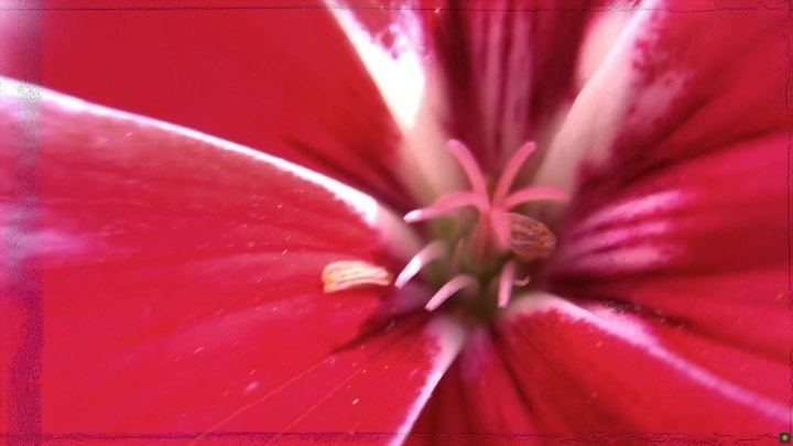 👨🏻🌾 🌸 if I was sound designing @themontydon 👨🏻🔬🌺
.
.
.
.
.
.
.
#gl3 #particles #patch #by @federicofoderaro @amazingmaxstuff #maxmsp #amazing ma stuff #gardening #jitter #flowers #procedural #synthesis #tape #delay #sounddesigner #motiongraphics #ableton #algorithmicart #glitchart #3dgraphics #touchdesigner #unity3d #computergraphics #shaders #codeart #generative