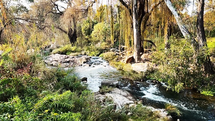 A river runs through it #thekleinjukskeiriver #rivergladesestate #jukskeipark #river