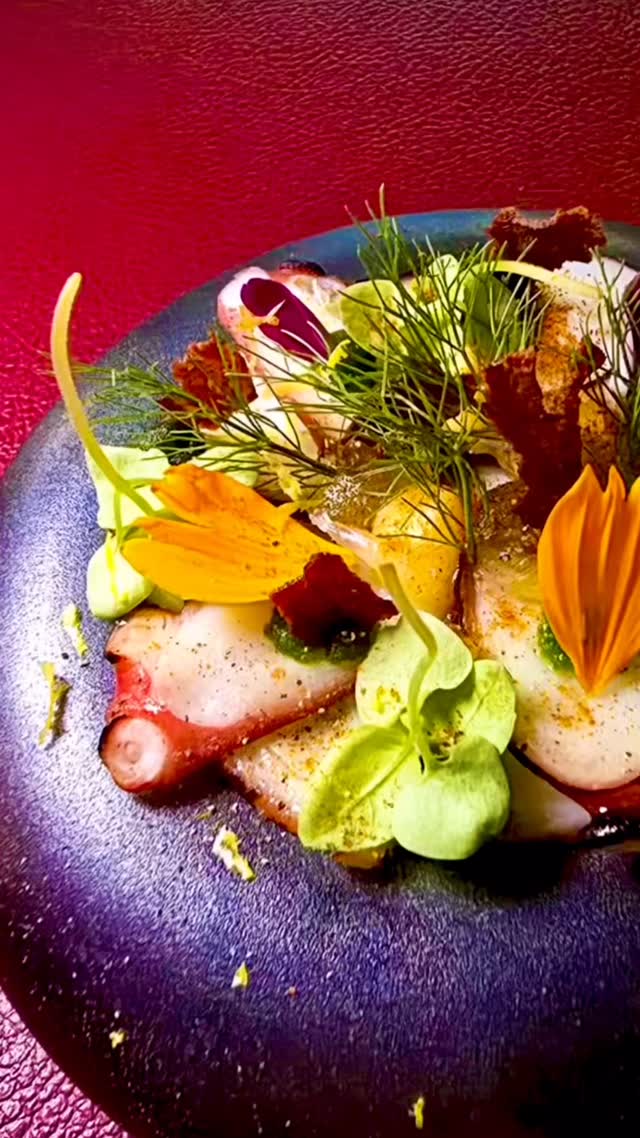 Carpaccio di Polpo
Char-grilled octopus tentacle, thinly sliced, topped with gelées of limoncello, chive, and basil, with roasted garlic emulsion, crisped salami, sweet paprika, fennel fronds, lemon zest, and micro basil.
Chef’s Table: Michelangelo in Firenze
a marble mosaic floor abandoned, the vestige of conflict; yet through the cracks nature rises to protect it, for the ground on which you stand is holy ground.