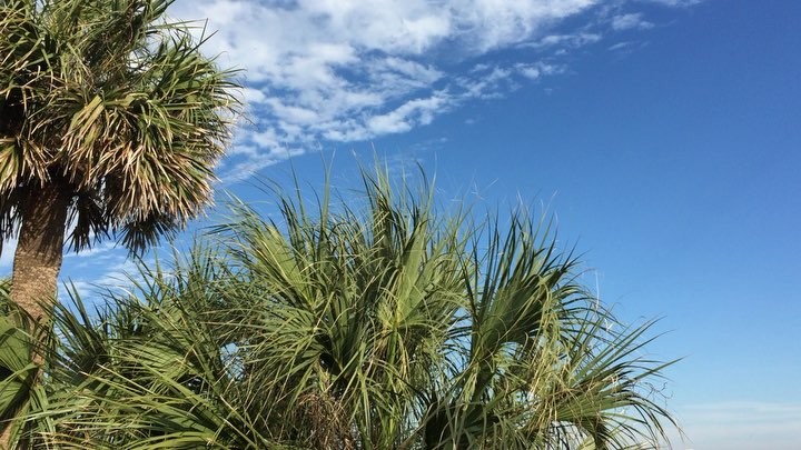 Hilton head island @omnihotels #hhi #canon #beach #promo #vacation