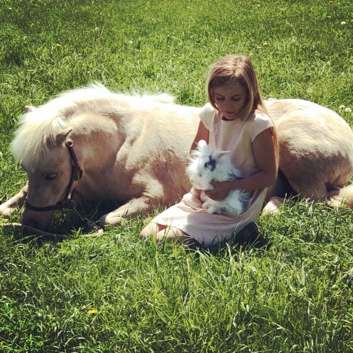 So excited about today’s photo shoot! Can’t wait to see the results! So much gratitude for @ashleymattesonphoto, @britta_nosbaum for selling us these lovely bunnies, @timothyjohnvanagas for kid wrangling, and @julie_hrt for grooming. Quinlyn, Revi, and the critters did a fabulous job! Who else is excited to see these pics?!