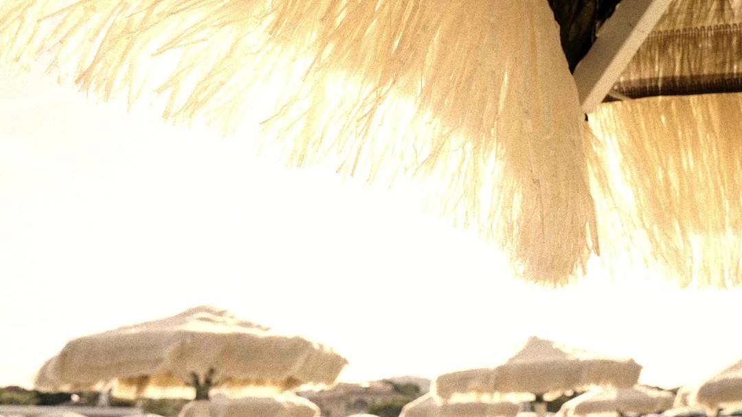 Un buon Menù digitale fa la differenza...
- zero blocchi anche con scarsa connettività
- grafica vettoriale (non pdf sgranati)
- semplicità e massima fruibilità per il cliente finale
Grazie a Gaetano Dal Pugliese
Lido Sirena - @dalpugliese1979
#ImproveYourBusiness Digital Menù
Scopri di più sui nostri servizi: www.digital-menu.it
📧 direzionale@easy-ware.it
🌎 www.digital-menu.it
#digital #menù #art #food #digitalart #digitalmenu #italy #photography #menù #italia #menudigitale #artist #instafood #design #cena #artwork #foodlover #marketing #gustamundo #illustration #QRCode #gelateria #lifestyle #photographer #restaurant #arte #business