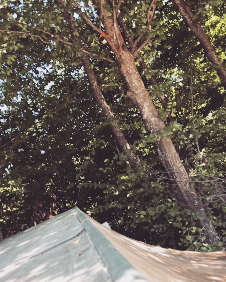 #blunttofakie 🛹
Skateboard Club GEN X
@Yan @raykovskamiriana @nickyboy.g @sirmarichvndt