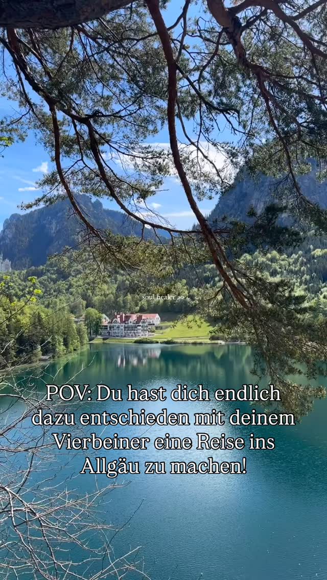 🏰🐾 Märchenschloss trifft Hundeabenteuer – das Allgäu hat beides. Und noch so viel mehr!
Erkunde mit deinem Vierbeiner das traumhafte Schloss Neuschwanstein 🐶✨ und lass euch danach von saftig-grünen Wiesen, klaren Bergseen und atemberaubenden Wanderwegen verzaubern. 🌲💦
Zamus & Katharina machen es vor!
In unserem neuen Blogpost findet ihr alles rund um eine Reise ins Allgäu mit Hund!
Aktuell haben wir über 600 hundefreundliche Unterkünfte im Allgäu für euren Traumhundeurlaub zu Verfügung!
👉 Reel anschauen, Fernweh spüren & Blog lesen – Link in Bio!
#allgäu #schlossneuschwanstein #hundeurlaub #bergeundpfoten #reisenmithund #traumhundeurlaub #hundeurlaub #hundeglück #dogtravel #hundefreundlichreisen