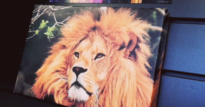 Looking For The Perfect Personalised Gift?
Canvas Frames Available Now!
#giftideas #christmasgifts #dstpress #nottingham #printing #bespokedesignandprint