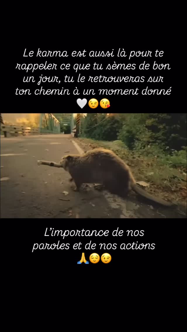 #energiepositive #ame #spirituality #karma #spiritualité