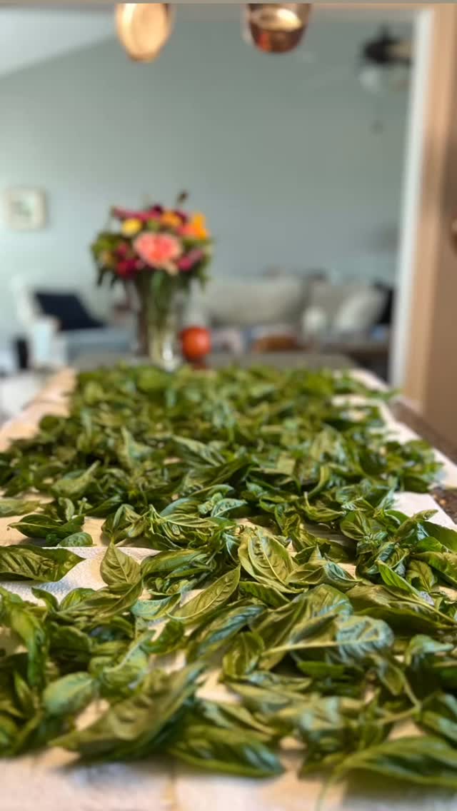 Fresh basil is in! 🌿 We’ll be making basil salt and pesto this week—DM me if you’d like the recipes to make your own at home.
#FreshBasil #BasilLove #PestoSeason #HerbsFromTheGarden #BasilRecipes #FarmFresh #HomeCooking #FromGardenToTable #SeasonalEats #FoodieFavorites