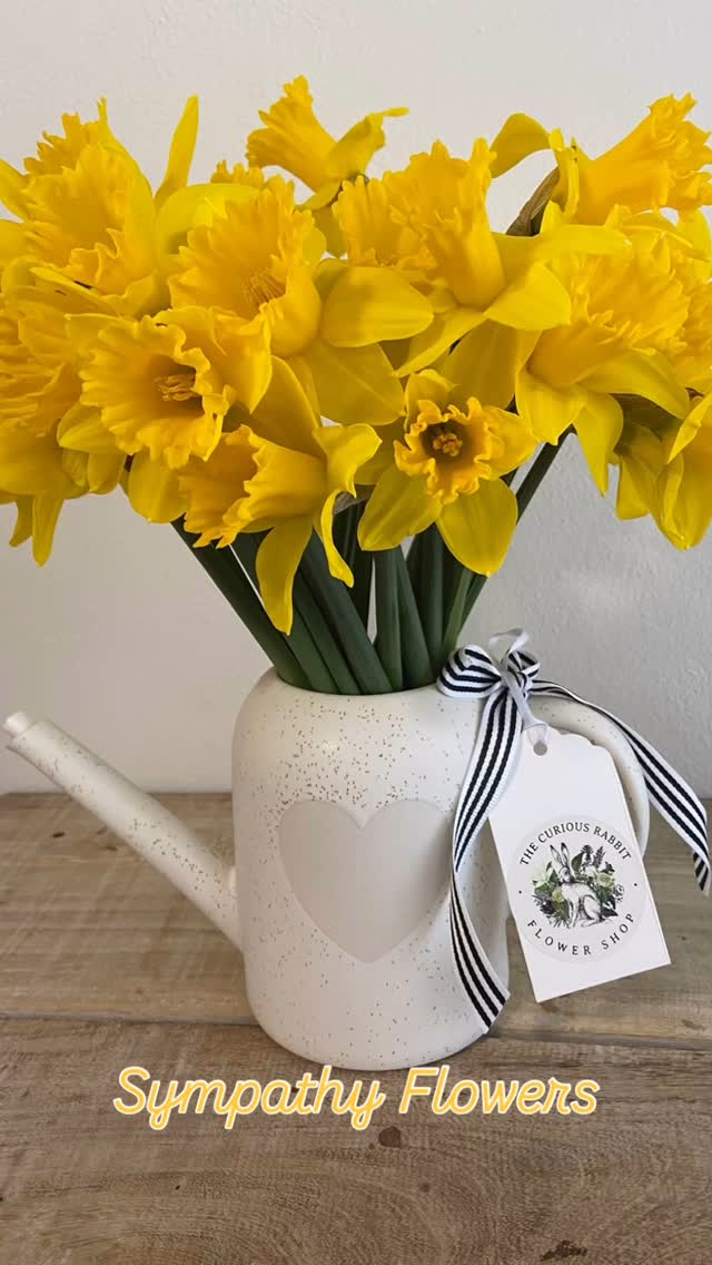 These daffodils in a water can certainly made a unique choice for sympathy flowers but they were the perfect choice to celebrate the life of a close friend who was uniquely herself and not a “flowery type”. I loved chatting with my gorgeous customer to help her find the right flowers to send off her dear friend.
We have flowers for every occasion available for delivery. Order on our website https://www.thecuriousrabbitflowershop.com.au #thecuriousrabbitflowershop #balmainflorist #balmainflowersandgifts #drummoyneflorist #gladesvilleflorist #haberfieldflorist #rozelleflorist #annandaleflorist #innerwestflorist #sympathyflowers #lanecoveflorist #sydneyflorist #flowerdeliverynearme #onlineflowerdelivery #daffodils #balmainflowers #sayitwithflowers #leichhardtflorist #