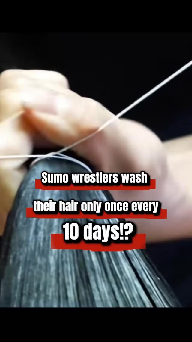 Sumo wrestlers only wash their hair every 10 days!?
It’s not laziness—it’s tradition.
💈Their hair is styled daily with wax into a chonmage, the classic sumo topknot.
🚿 To protect the shape, they avoid shampoo…
💧But they rinse daily.
Also, they need to reapply all the wax if they wash their hair, and it take double or triple longer time to fix their chonmage again.
🧼 When it’s time to clean? They use a powerful solid shampoo made for sumo hair!
Would you survive this hair routine? 😅
👇 Let me know if this surprised you!
#sumowrestler #sumohair #sumolife #chonmage #sumotraditions #sumohistory #japaneseculture #behindthescenes #sumofacts #superfansumo #sumo #visitjapan