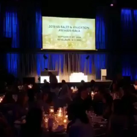 Galadinner in Harpa 💙 2019 🤍