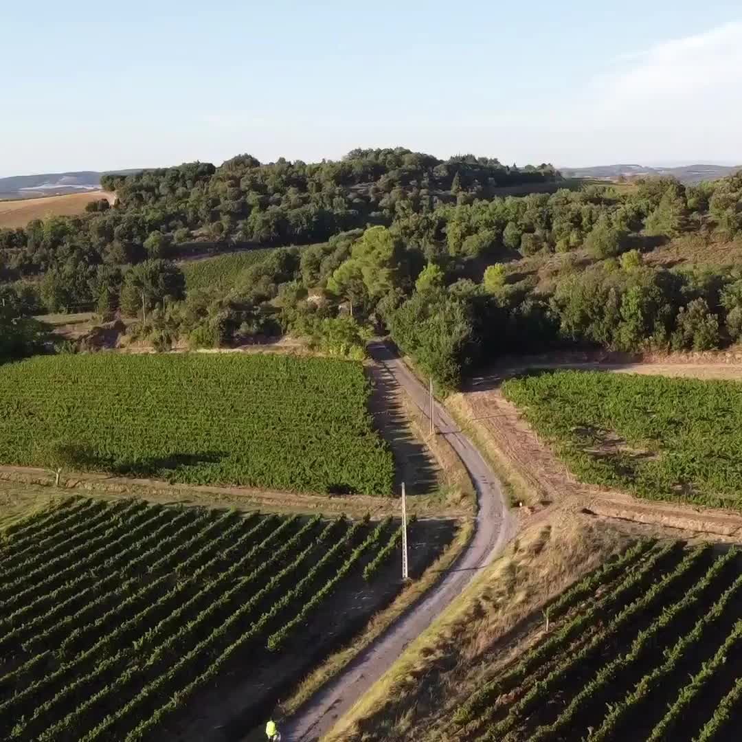 🇬🇧 Discover the Aude region / 🇫🇷 Découvrez l'Aude / 🇳🇱 Ontdek de Aude regio
🇬🇧 Aude is one of the five departments in the Languedoc-Roussillon region. The department Aude is known for its rich history and beautiful nature. It is ideal to discover the Aude by e-bike.
Join us on one of our self-guided tours, or rent an e-bike!
You can find more information on our website.
🇫🇷 L'Aude est l'un des cinq départements de la région Languedoc-Roussillon. Le département de l'Aude est connu pour sa riche histoire et sa belle nature. Il est idéal pour découvrir l'Aude en VAE.
Participez à l'une de nos visites autoguidées ou louez un VAE !
Plus d'informations sur notre site web.
🇳🇱 Aude is een van de vijf departementen in de regio Languedoc-Roussillon. Het departement Aude staat bekend om haar rijke historie en prachtige natuur. Het is ideaal om de Aude per e-bike te ontdekken.
Ga met ons mee op een van onze self-guided tours, of huur een e-bike!
Meer informatie vind je op onze website.
#linkinbio
#aude #limoux #malras #audetourisme #ebike #VAE #ebikeadventures #velaude #locationdevelo #cyclingfrance #pyreneescycling