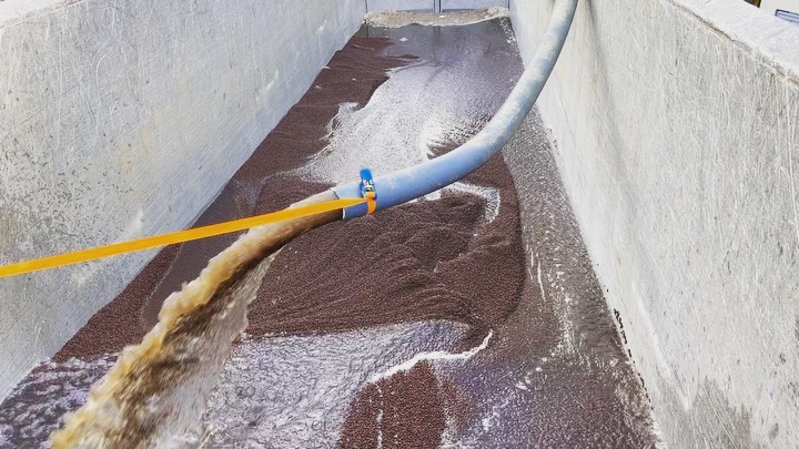 Vidange et remplacement du média filtrant, conditionnements en bennes #benne #biofiltre #vidange #step #curage #hydrocureur #biolite #filtralite #buse #tuyau #petitchat #biofiltre