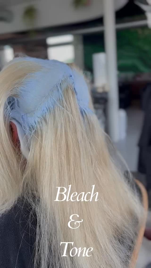 Platinum Blondes Behold!!!! ✨🪩
@sco.tthair
#iowa #ames #amesiowa #iowahairstylist #ameshairsalon #redken #blonde #blondelife #ameshairstylist #iowahairsalon #platinum #platinumblonde #platinumblondehair #loréal #lorealprofessionel