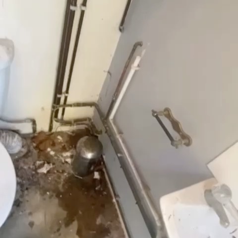 After going to repair a burst mains pipe under the boiler and then realising the boiler itself is leaking from 3 different places🤦🏻♂️🤦🏻♂️I got the go ahead from the home owner to change the boiler but they wanted everything to be re run to a certain point👌🏼 #gas#boiler#plumber#water#pipe#work#labour#boilerroom#detail#talon#vaillant #new#old#copper