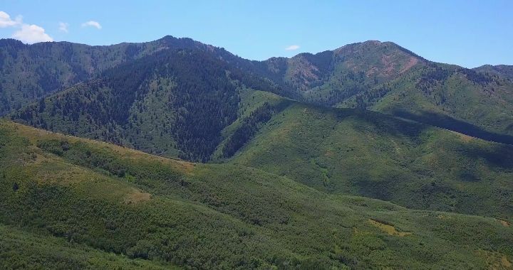 I think it's safe to say it's pretty green in Park City right now! Here are a few shots heading up the mountain to PC
.
.
.
.
.
.
.
.
.
#transportationtoparkcity #parkcitytransportation #parkcity #wasatchmountains