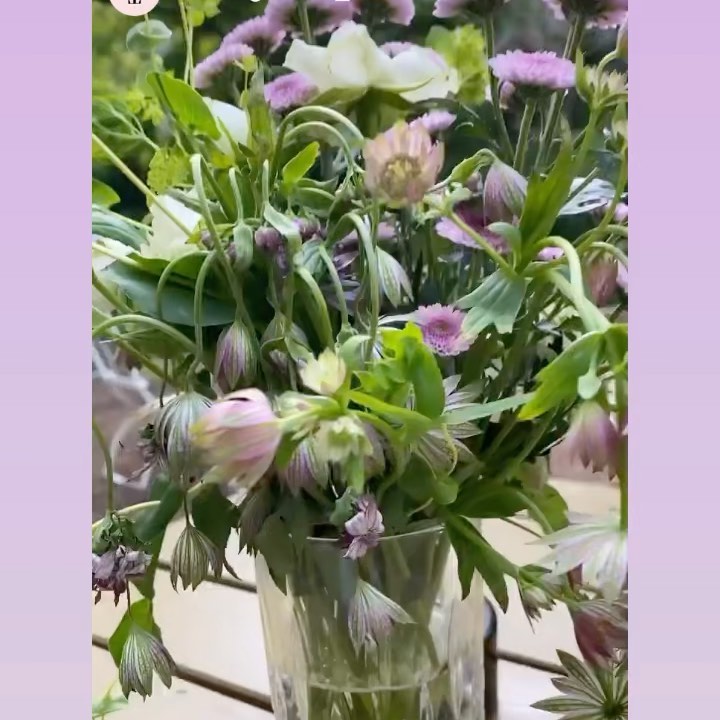 Ja, wieso heißt das Mädchenitaliener 🧐
.
.
.
#mädchenitaliener #gutefrage #alteschönhauser #mulackstrasse #italianrestaurant