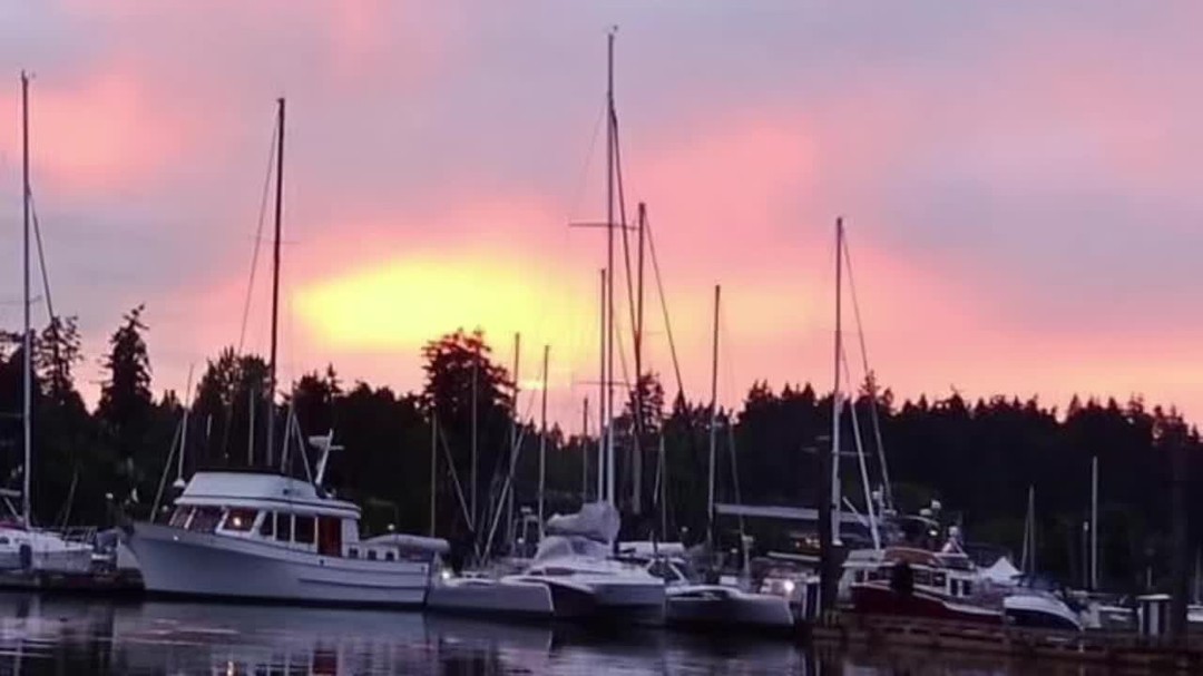 ✨⚠️What can 3 days away mean for your business?⚠️✨
Looking to take your team away from daily challenges and the whirlwind of the work place, to a place to the environment is always flourishing and the air is clear.
Bring you culture to life… discover yourself here📍… a place to refresh your mind, relax your body and inspire your soul.
We help facilitate experiences not just meetings. Our historic 100 year old hotel is newly renovated and is fully-equipped to exceed your expectations. Fuel your team with custom catering options from our on-site restaurant that prides itself in serving fresh and local. We are your one stop conference shop.
Leave the details to us with our all-inclusive packages, specially designed with your goals in mind. Reach out to our events team directly 250.537.4700 or email events@harbourhousessi.com
Our mission is to ensure that your retreat is not only productive but memorable as well…
#harbourhousessi #saltspringisland #retreat #conference #rejuvenate #thinkoutofthebox4change #nature #freshair #foodie #relax #soul