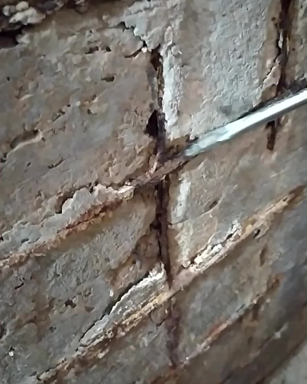 Perda de seção da armadura!
.
#concretoarmado #engenhariacivil #aniversáriodebrasília #construcaocivil #engenharia #engenhariadf #manutencaopredial #vistoriapredial #sindico #engenhariadiagnostica