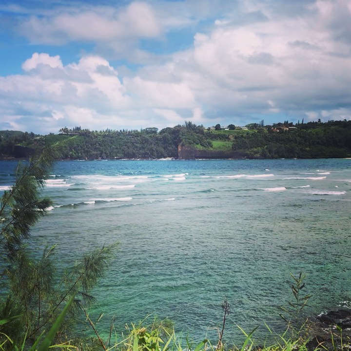 Think Expansive ✨🌊💫
.
.
.
.
.
#hawaii #hawaiistagram #hawaiilife #natureinspired #natureinspiration #dance #dancehawaii #danceinspiration #hawaiidance #naturedays #naturedance #inspire #peaceofmind #oceanphotography #getinnature #isadoraduncan #danceoflife