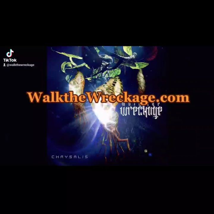 NEW Walk the Wreckage song Fulcrum is Out Now!