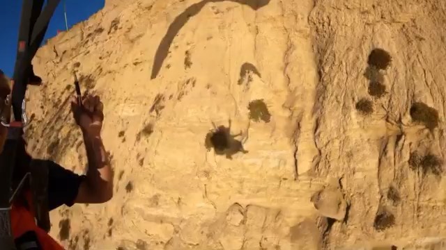 More #parahawking from @sarahsomewhere ! Hope you all get to enjoy this beautiful spring day doing your favorite thing! @flytorrey #parahawking #falconry #lajolla #sandiego #optoutside #nature #freeflight #lannerfalcon #paragliding