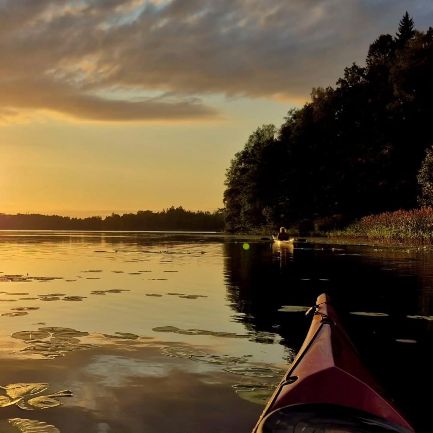 Ikväll har jag vilat hjärnan på ett sätt som funkar väldigt bra för mig.
Hur vilar du din hjärna och när gjorde du det senast?
🧠 Marie