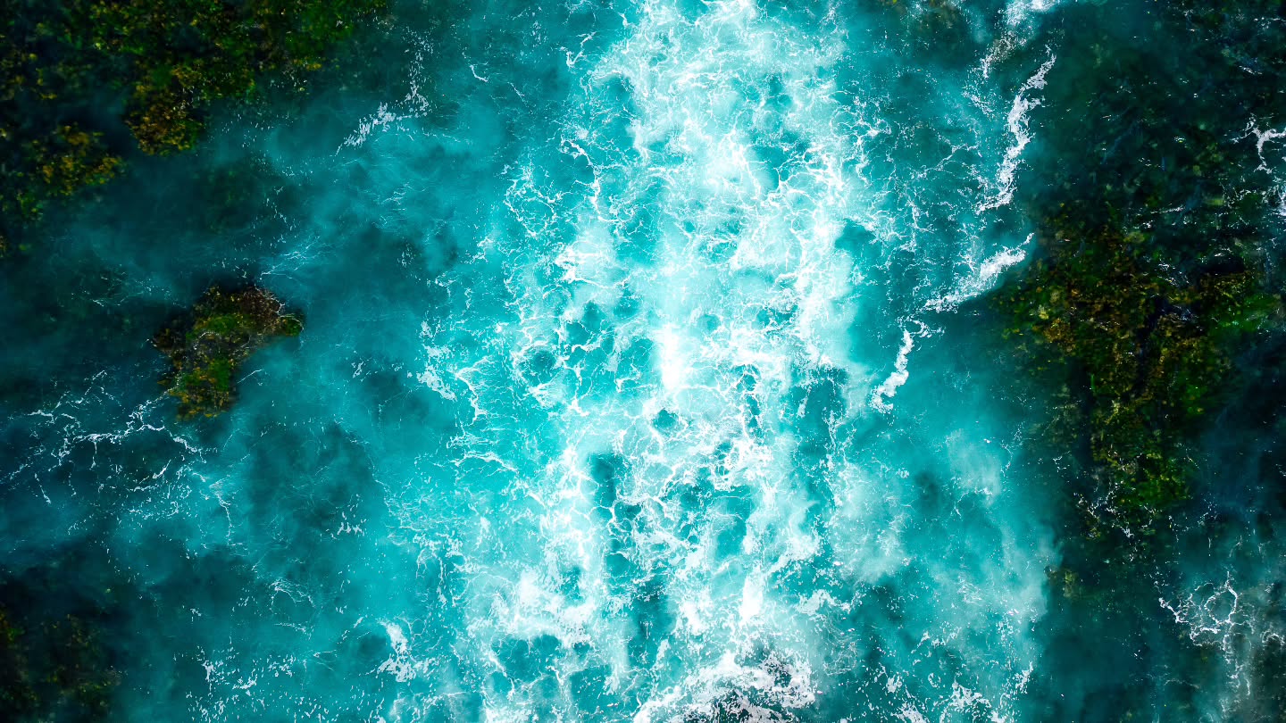 📸 1st Place Marine & Coast Category: @max.winnen at Searcy Bay (2025)