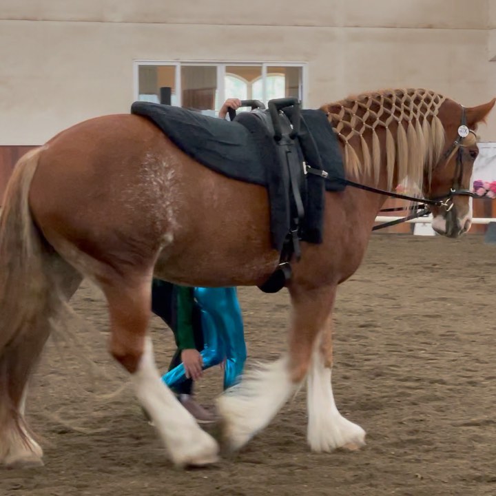 Quinlyn Kiger, age 10, Walk Freestyle. First vaulting competition. #equestrianvaulting #voltige #americanvaulting #feivaulting #horsevaulting #voltigecosaque