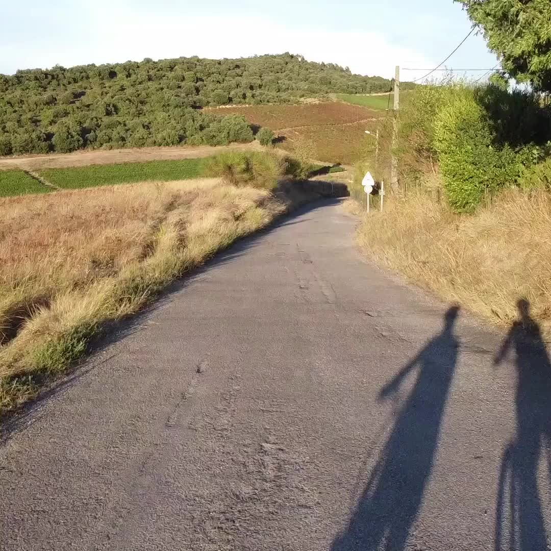 🌱 Ecofriendly / éco-responsable
🇬🇧 Riding an e-bike is great for the environment! But our choice for electric bikes is more than just ecologically inspired. Because of the many hills the region boasts, an electric bike will enable everybody to enjoy a relaxing and fun trip.
🇳🇱 E-bike rijden is goed voor het milieu! Maar onze keuze voor elektrische fietsen is meer dan alleen ecologisch geïnspireerd. Door de vele heuvels die de regio rijk is, zal iedereen met een elektrische fiets kunnen genieten van een ontspannen en leuke tocht.
🇫🇷 Un VAE est excellent pour l'environnement ! Mais notre choix pour les vélos électriques n'est pas seulement inspiré par l'écologie. En raison des nombreuses collines que compte la région, un vélo électrique permettra à tous de profiter d'un voyage relaxant et amusant.
#linkinbio
#ebike #ebikeadventures #ebikerental #malras #limoux #carcassonne #bikerental #aude #audetourisme #limouxtourisme #carcassonnetourisme #travel