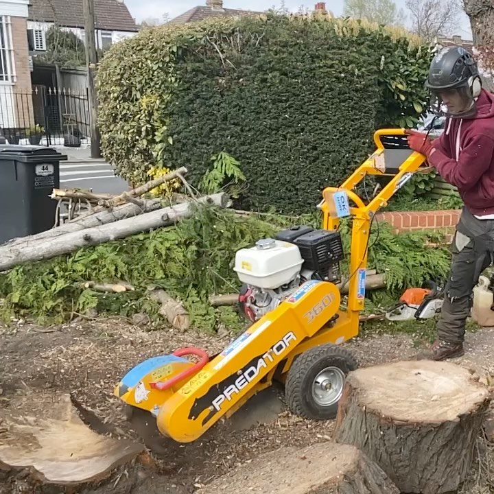Palmers Tree Care & Management.
Giving the Predator 360 a run out for the first time the other week. Brilliant little machine and can get through the narrowest of pathways. If you require stump grinding please don’t hesitate to get in touch.