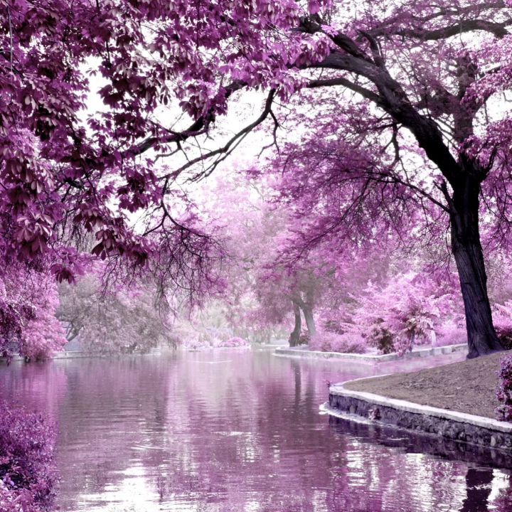 These pure natural salts soften the water, open pores and provide the full benefit of herbal extracts.
.
Beautifully scented vibrant coloured bath salts.
.
#seasalt #relaxing #allnatural #spoilyourself #shopwillowb #noadditivesorpreservatives #botanicals #scentedbathsalts #lavender #respire #pinkroseclay #supportsmallbusiness