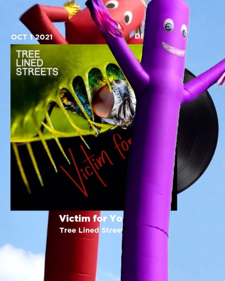 Ready for October 1st? We are. Can’t wait to send “Victim for You” into the airwaves. #treelinedstreets