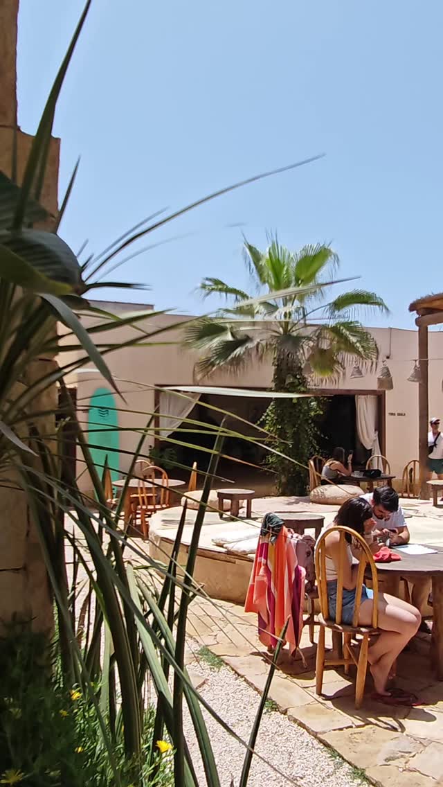 🌿 Take a Break in The Jungle 🌿
Tucked away beneath Blue Waves, The Jungle in Anza is the perfect place to unwind between rolls and surf sessions.
Whether you're craving a smooth specialty coffee, a traditional Moroccan mint tea, or something sweet to refuel, this lush little oasis has you covered.
Recharge. Relax. Connect with the crew!
📍Anza, Morocco
📆 November 19–23
🌀 #RipAndRoll
#BJJ #BrazilianJiuJitsu #SurfCamp #Taghazout #SurfAndBJJ #BJJCamp #MoroccoCamp #WinterSun #BJJLifestyle #SurfVibes #RecoveryTime