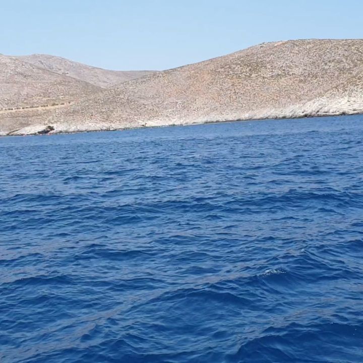 Dolphin near Plati
#threeislands #trzywyspy #pserimos #plati #kalymnos #tigaki #marmari #lambi #grecja #wyspakos #wakacje #urlop #tigakitours #holidays #summer #kosisland #dolphin #aegansea #excursion