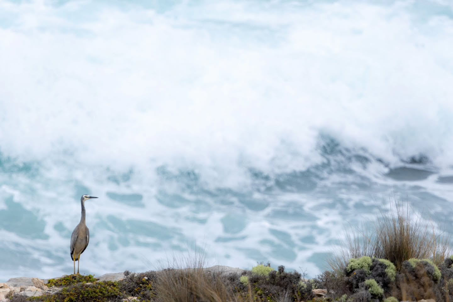 📸 2nd Place Marine & Coast Category: @samcorrellphotography at Flinders Chase National Park (2025)