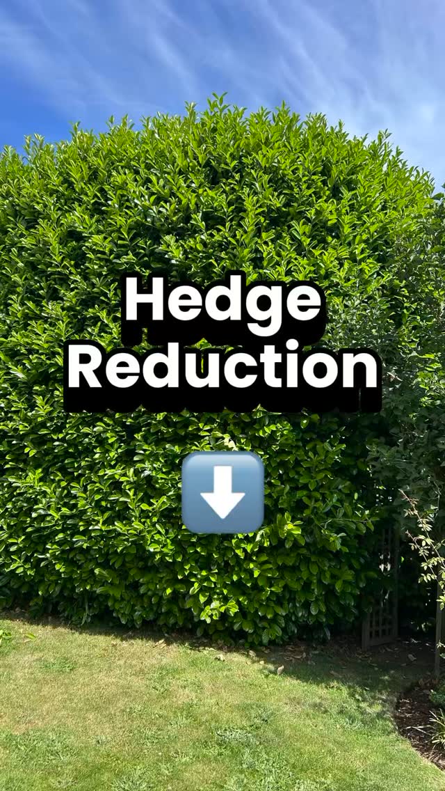 Completed a big reduction on an english laurel hedge. Don't be afraid to cut into bare wood on a laurel...they will regrow.🌿
Pro Tip - Keep your hedges low from the start and you'll never have to do this!⭐️