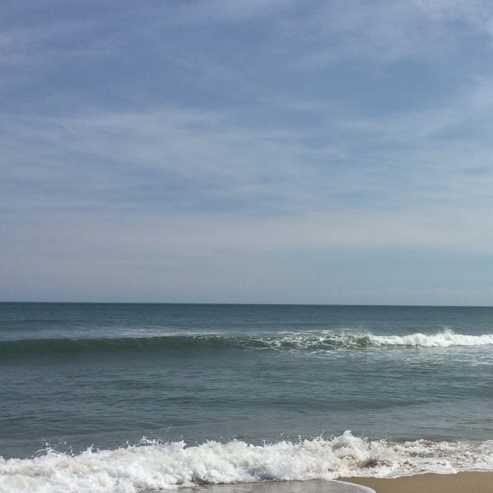 It's a glittery ocean kind of day on the Outer Banks! Pelicans windsurfing and the water is slowly warming up! Here's 25 seconds of bliss for your Tuesday! #12thstreetportraits