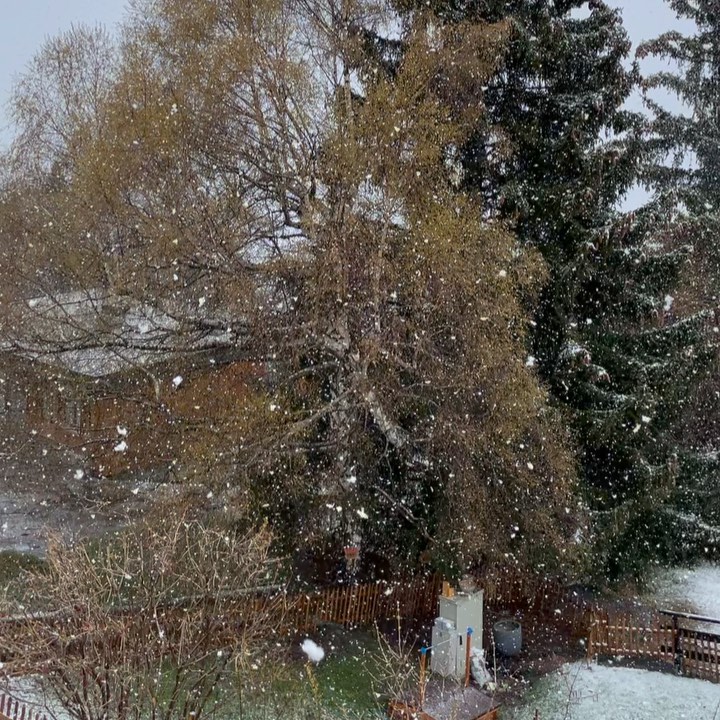Well that was a short summer!
-
-
#gardening #gardeninglife #landscaping #landscapingdesign #lawncare #lawnmaintenance #nendaz #nendazswitzerland