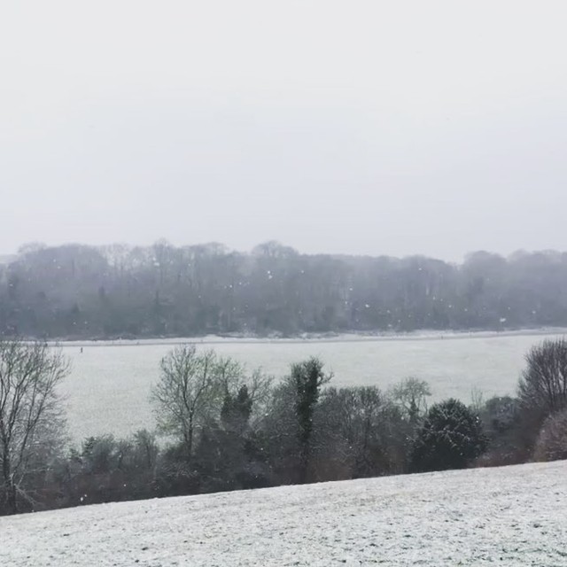 Snowfall for a very chilly cross country ❄️☃️🌬 with #ranelaghharriers