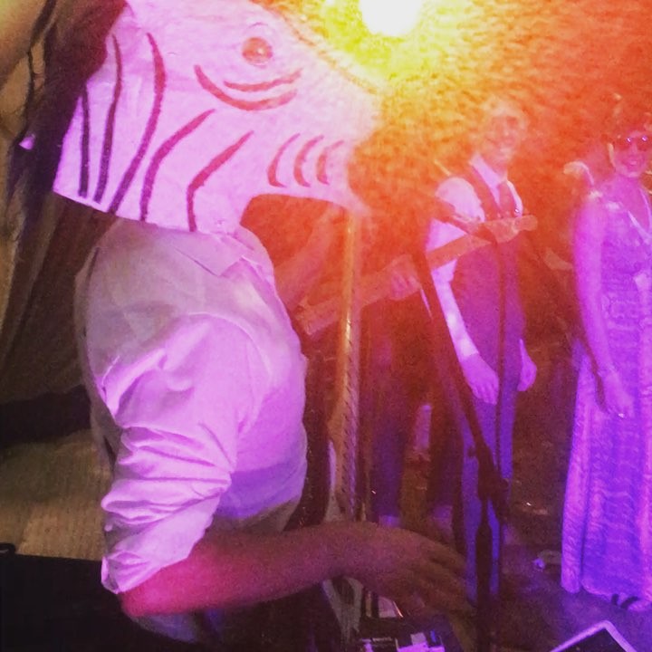 Dave's spirit animal came out at the weekend #allaboutthezebra