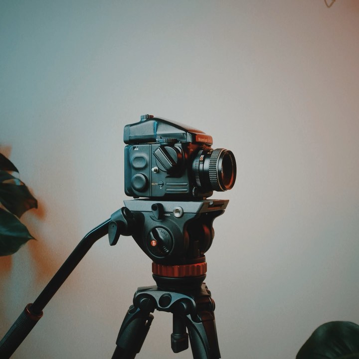 Size doesn’t matter. We love them all. 📷🎥🎞
•
•
•
#cameras #cameragear #tech #filmmaking #shootfilm #shotonfilm #filmisnotdead #cameracollection #ursaminipro #ursamini #bmpcc6k #film #mamiya645 #canonaf35m #sonya6500 #dublin #dublinfilm