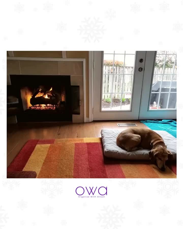 Winter warm wishes from Wendy and OWA Home Solutions. 🐶 ❄️
_____
#humanesocietyfxva #doggoneorganized #wendywednesdays #rescuepups #whorescuedwho #rescuedogmom #thebestbreedisrescued #supportyourlocalshelter #adoptdontbuy #shelterdogs #shelterdogsofinstagram #rescuedogsofinstagram #fireplacelove