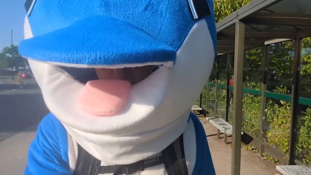 Stoked to have so much engagement for the dolphin at the @yorkraces @parkrunuk today.
So many people were asking the critical question - why are you running as a dolphin?
Find out more here:
https://cpdmatch.co.uk/running-for-the-ocean
#sustainability #whale #dolphin #ocean #climatechange