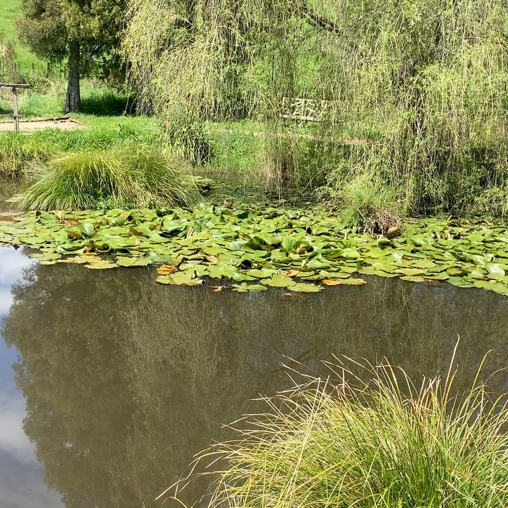 Beautiful day @underhillvalley