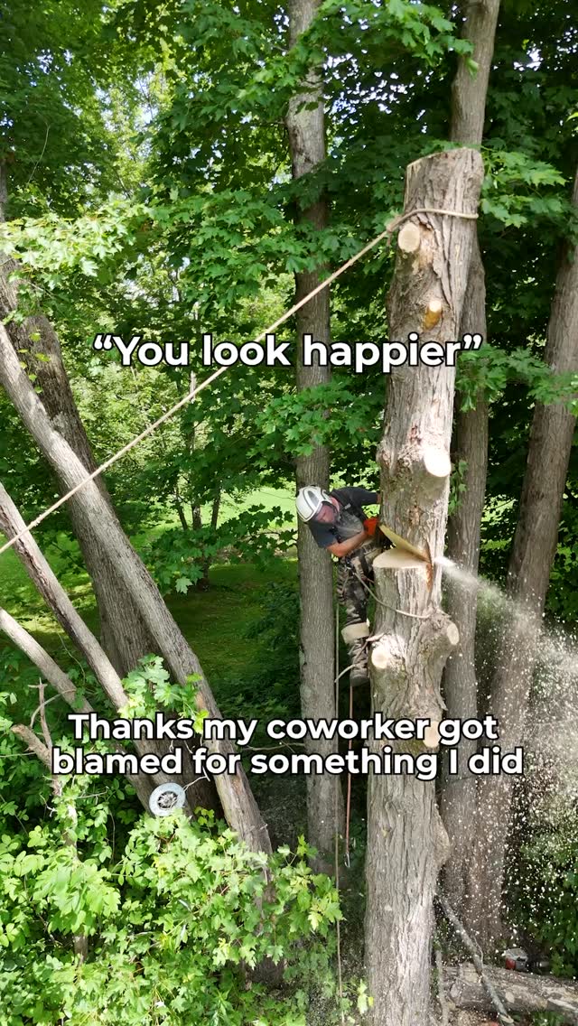 A tale as old as time: when in doubt, blame the new guy
.
.
.
.
#belangertreecare #arborist #arboristsofinstagram #skowhegan #skowheganmaine #forestry #chainsaws #centralmaine #mainebusiness #treecare #treecarebusiness #treeclimbers #logging
