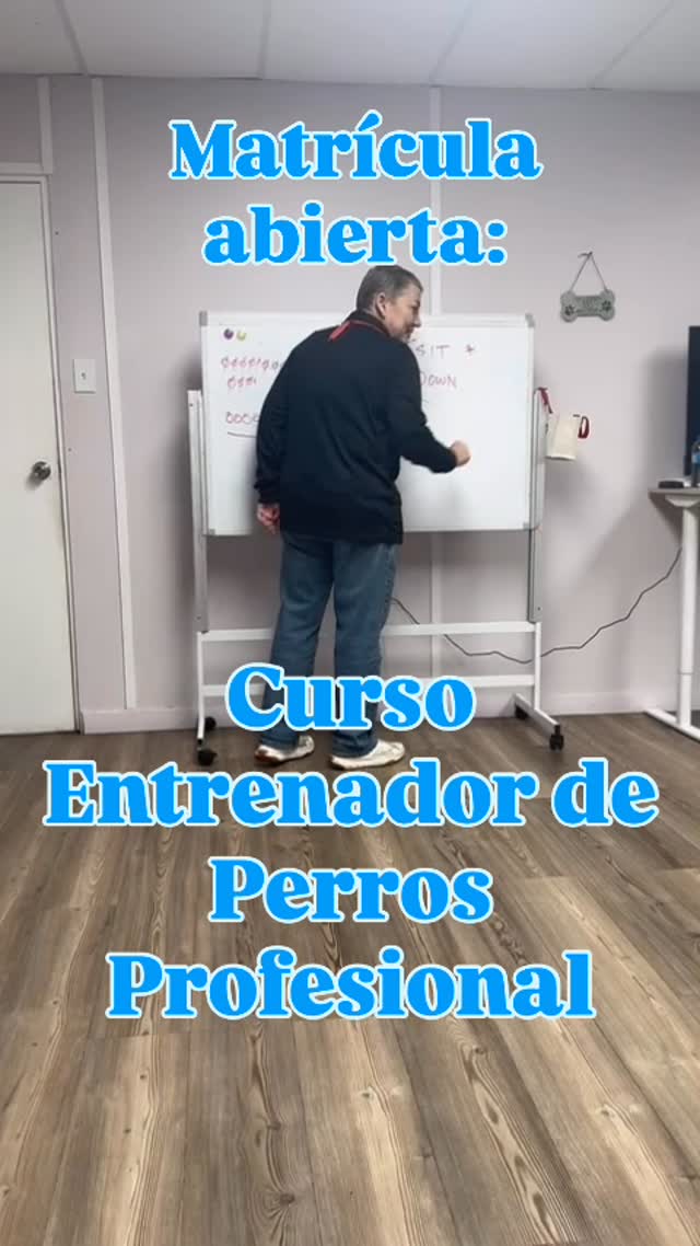 ✦ NUEVA FORMACIÓN INTEGRAL PARA ENTRENADORES DE PERROS
Un camino profesional en el arte del entrenamiento consciente, la comunicación auténtica y el liderazgo desde la presencia.
🌿 Curso rediseñado con nuevos módulos, más prácticas reales y herramientas energéticas y técnicas para expandir tu vocación y tu negocio.
📆 INICIO: 29 de septiembre de 2025
📆 FINALIZA: 27 de mayo de 2026
🕕 HORARIO: Lunes y Miercoles, de 6:30 PM a 9:00 PM
📍 LUGAR: Caribbean Canine Academy – Carolina, Puerto Rico
✨ Cupos limitados. Si sientes el llamado, este espacio es para ti.