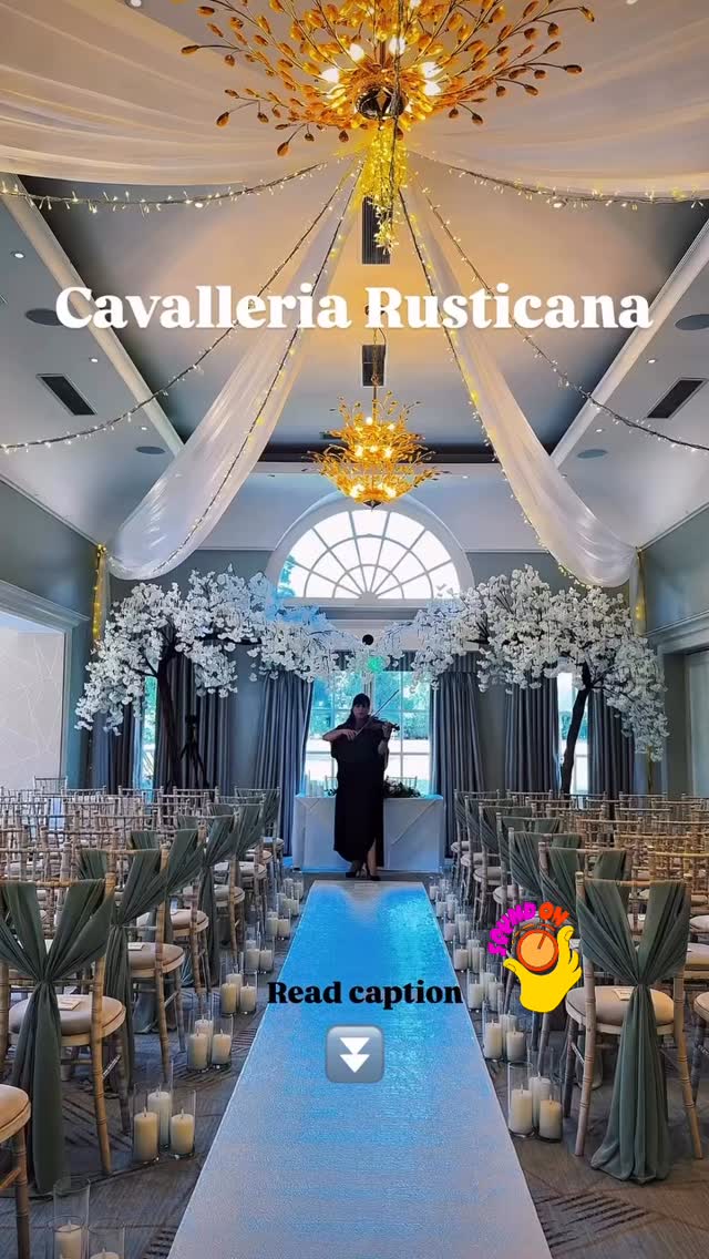 It aches. It remembers. It forgives. 🥹
When I perform this piece, I’m not just playing notes—
I’m speaking to every soul that’s ever grieved,
every heart that’s ever longed,
every love that’s ever been lost…
There’s something about this melody—
so fragile, yet so powerful—
that brings tears to my eyes without asking for permission.
I hope that when you hear it,
you let it break you open a little.
And then it might heal you a little more...
@royal_berkshire 😍
#CavalleriaRusticana #Violinist #EmotiveMusic #WeddingViolinist #LiveMusicMagic #Violinist