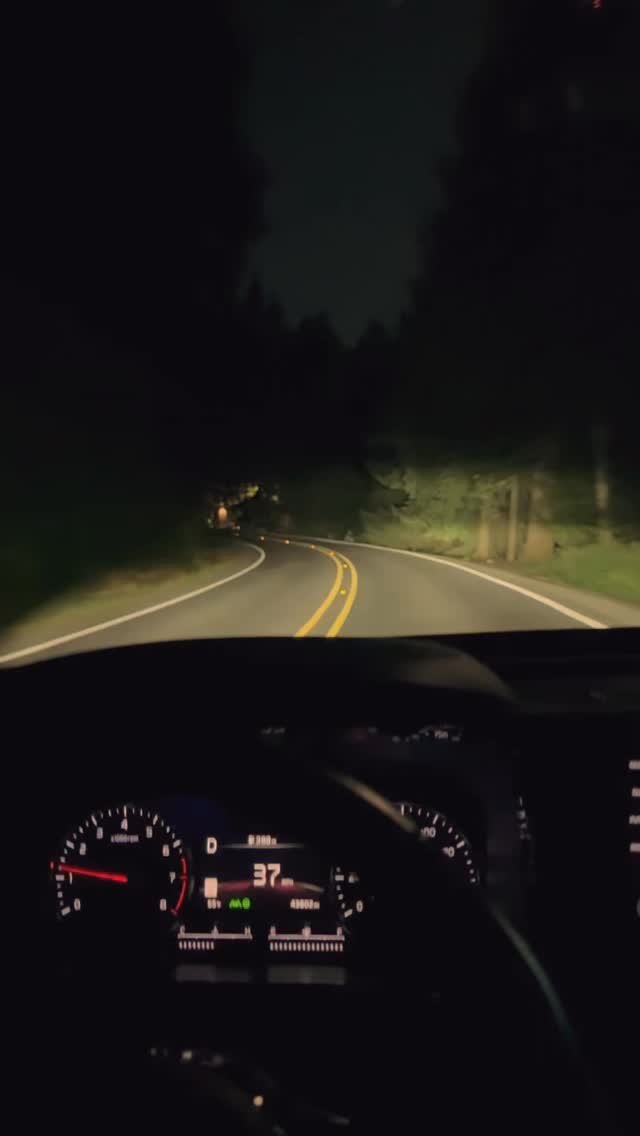 🌲 Mount Rainier is one of my favorite hiking spots in the USA 🏔
It’s a must-visit adventure — best hikes in Washington State and one of the top national parks in the USA.
✨ Stargazing at night + morning hikes = unforgettable!
If it’s not on your travel bucket list, add it now ❤️
📍 #mountrainier #besthikes #washingtonstate #nationalparks #naturelovers #usaadventure #travelgoals #hikingusa #outdooradventure #bucketlisttravel