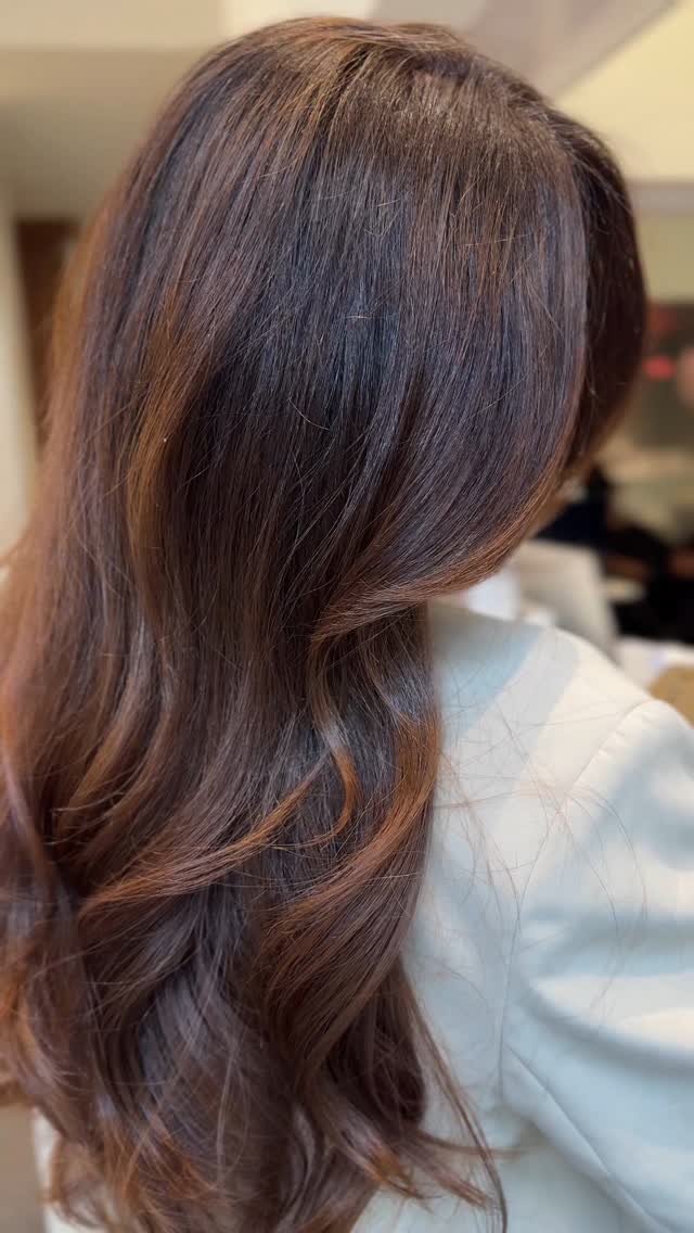 Chocolate chestnut
#brownhair #chocolatehair #brunette #espresso